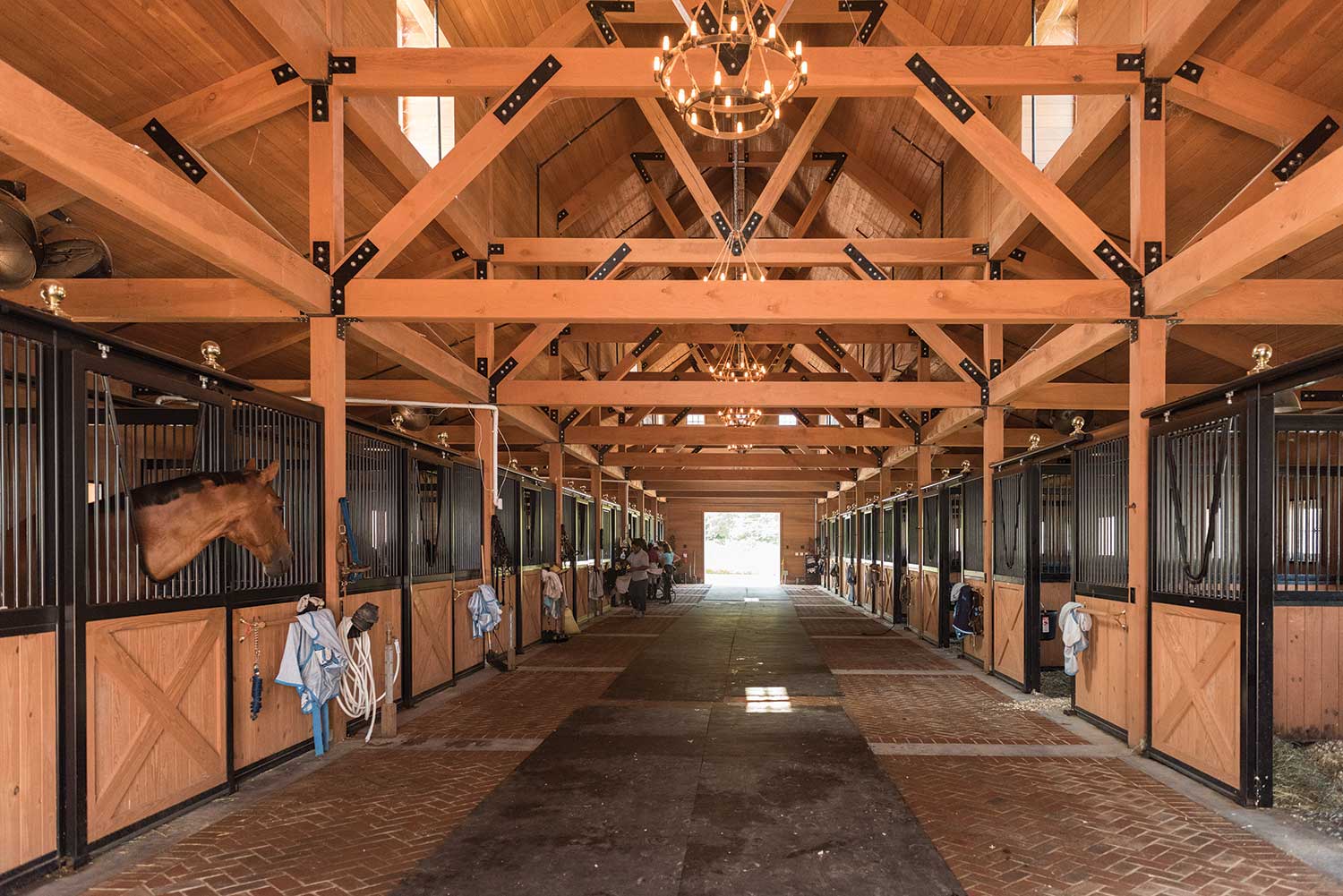 horse stables to visit near me