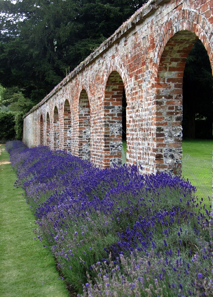 Lavender is Highclere Castle's gardens. Imagery courtesy of Highclere Castle Gin.