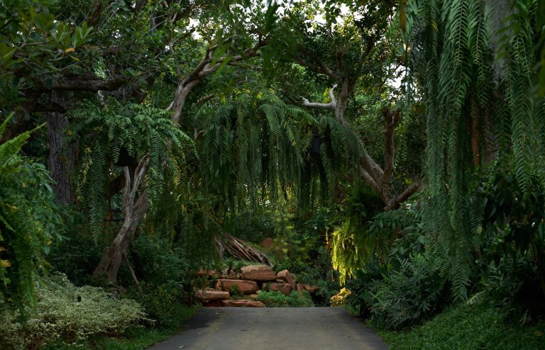 Garden Landscape - Imagery courtesy of InterContinental Khao Yai Resort