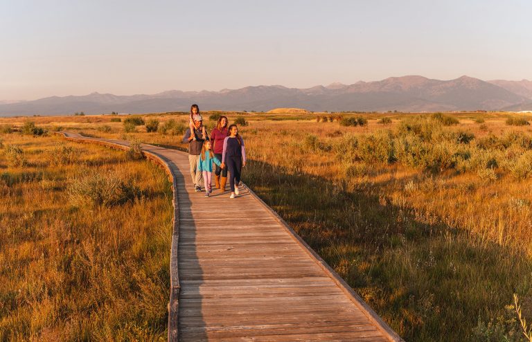 Tributary walkways - Imagery courtesy of Tributary