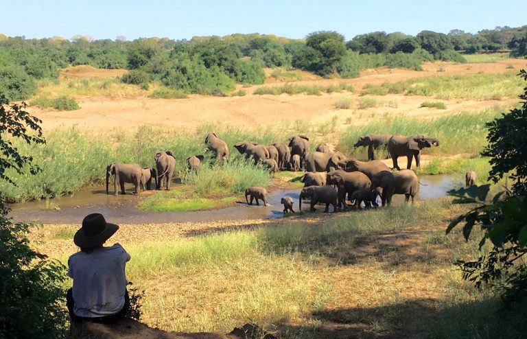 The walking safari from Singita Pamushana in Zimbabwe - Imagery courtesy of ROAR AFRICA